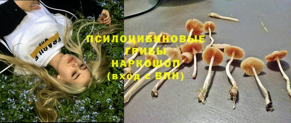метамфетамин Белокуриха