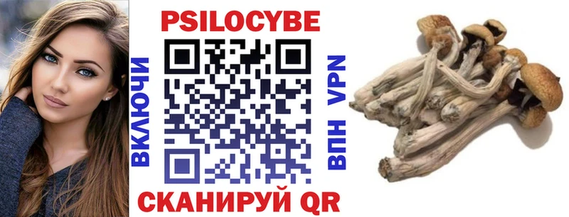 Псилоцибиновые грибы Psilocybe  даркнет Telegram  Бугульма 